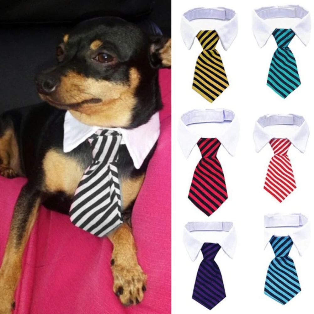 Formal Necktie Collar