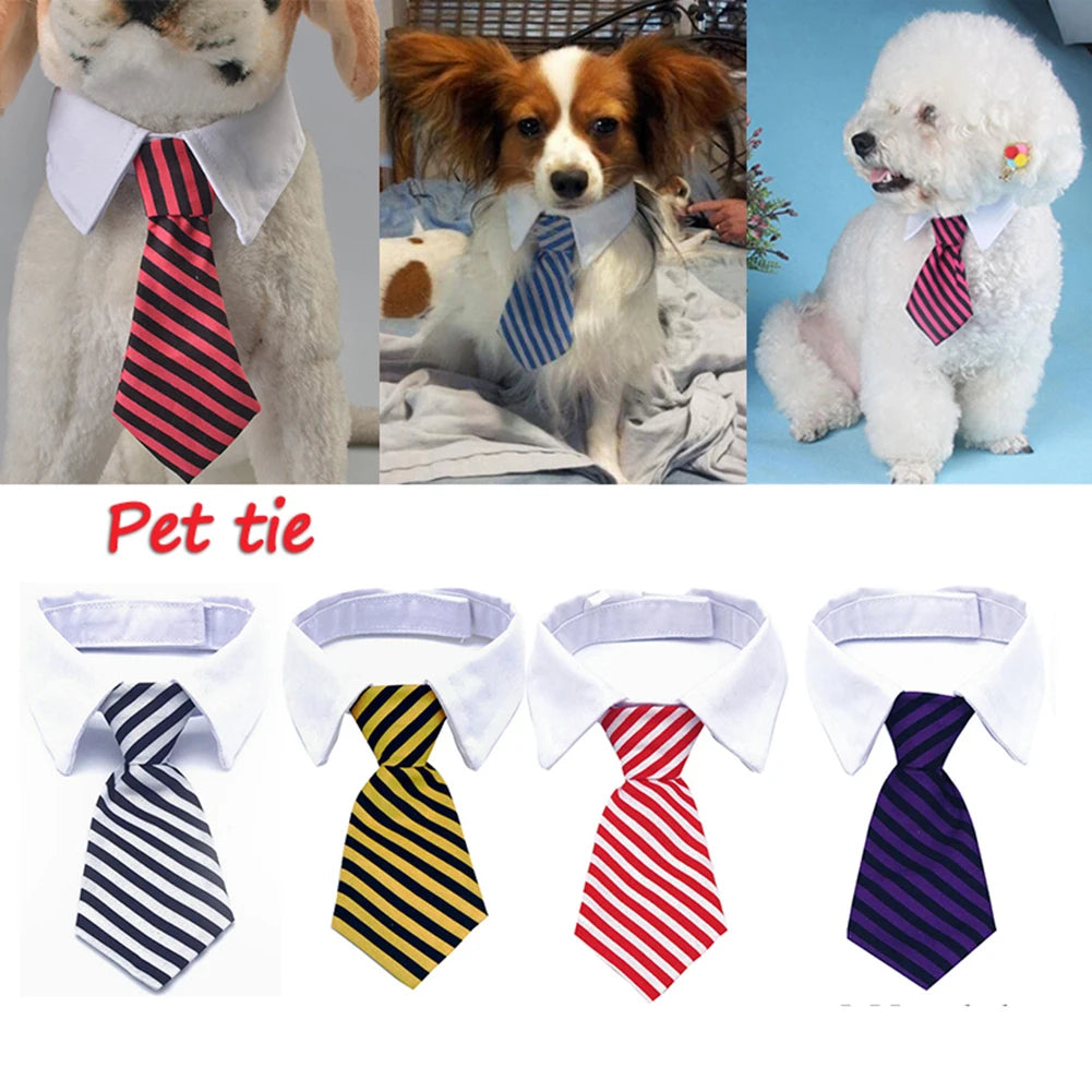 Formal Necktie Collar